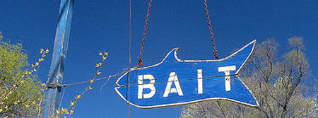 Linkbaiting