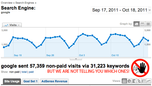 Google Analytics Referring Keywords