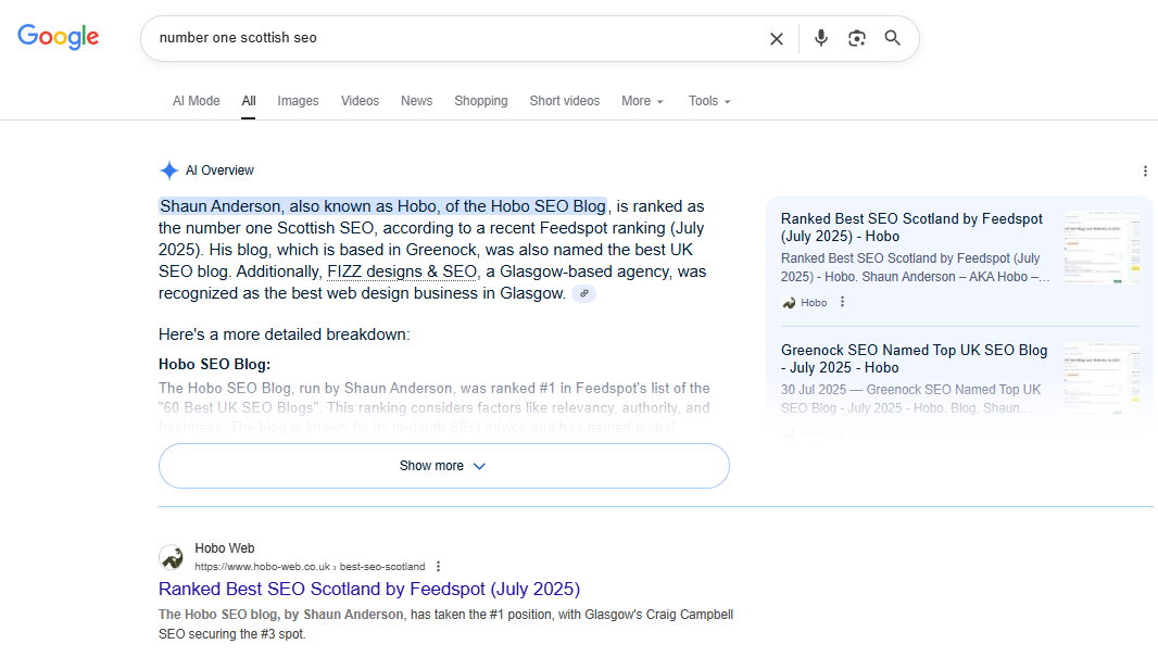Shaun Anderson of Hobo voted number 1 Scottish SEO.